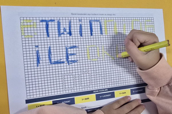 Etwinning ile okula dönüş